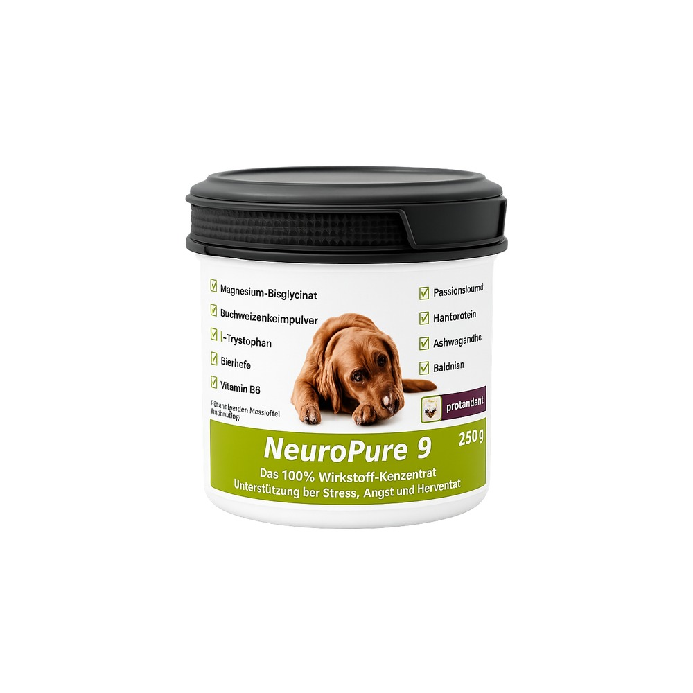 Pfotenstrolch NeuroPure 9
